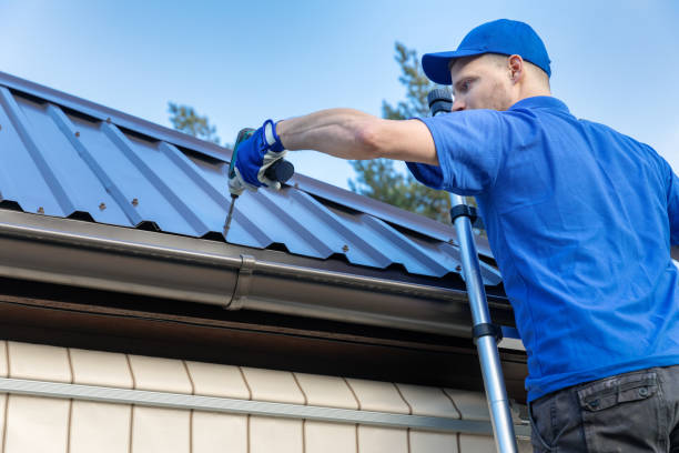 Best Skylight Installation and Repair  in Saline, MI