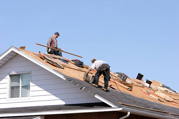 Best Green or Eco-Friendly Roofing Solutions  in Saline, MI