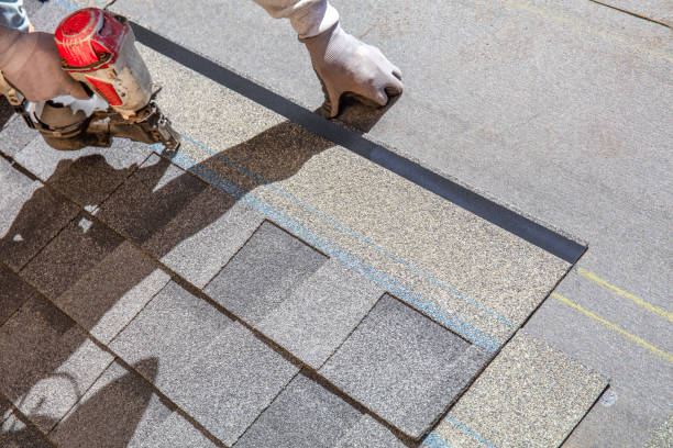 Best Roof Moss and Algae Removal  in Saline, MI